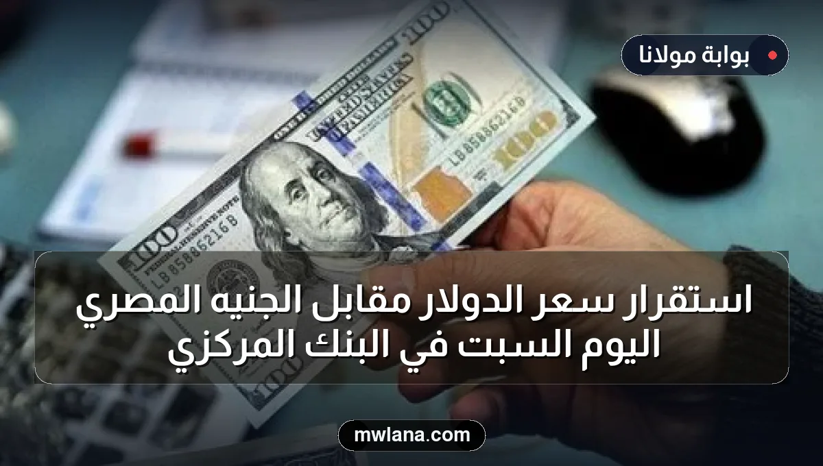 استقرار سعر الدولار مقابل الجنيه المصري اليوم السبت في البنك المركزي