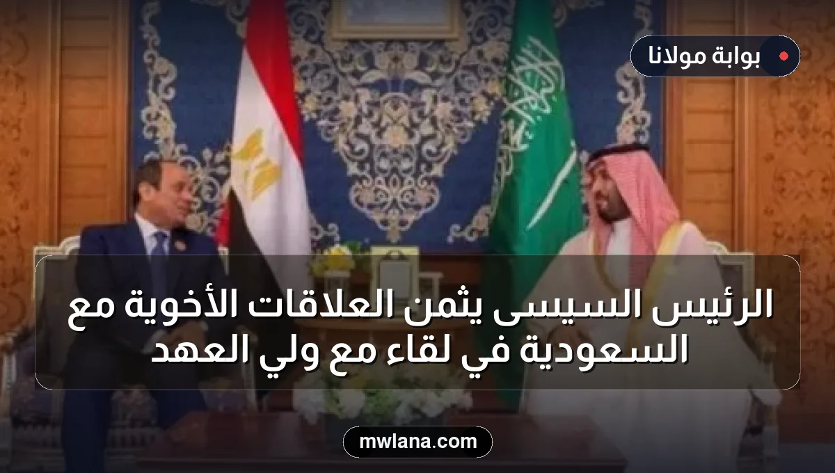 الرئيس السيسى يثمن العلاقات الأخوية مع السعودية في لقاء مع ولي العهد