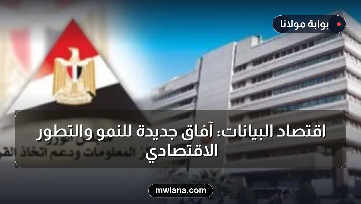 اقتصاد البيانات: آفاق جديدة للنمو والتطور الاقتصادي