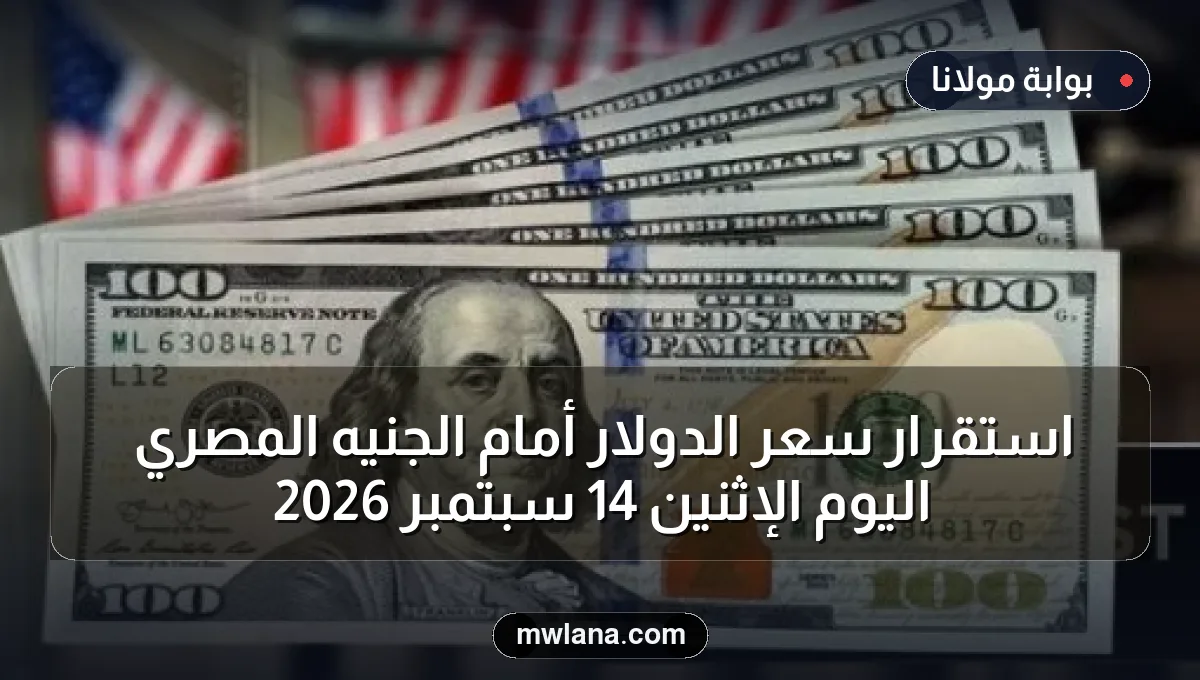 استقرار سعر الدولار أمام الجنيه المصري اليوم الإثنين 14 سبتمبر 2026