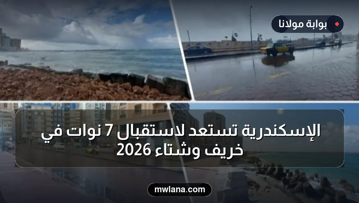 الإسكندرية تستعد لاستقبال 7 نوات في خريف وشتاء 2026