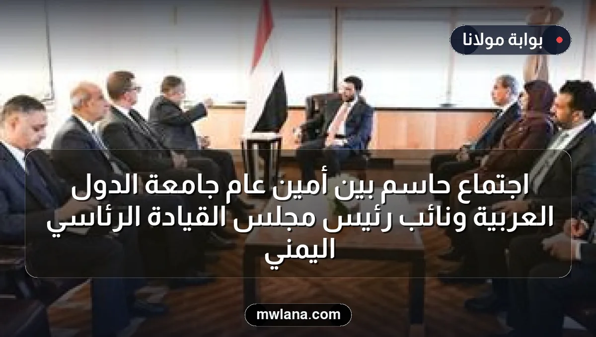 اجتماع حاسم بين أمين عام جامعة الدول العربية ونائب رئيس مجلس القيادة الرئاسي اليمني