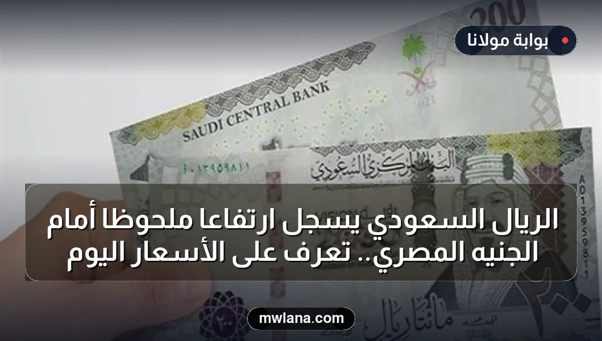 الريال السعودي يسجل ارتفاعًا ملحوظًا أمام الجنيه المصري.. تعرف على الأسعار اليوم