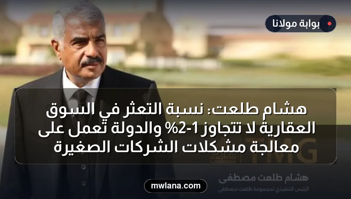 هشام طلعت: نسبة التعثر في السوق العقارية لا تتجاوز 1-2% والدولة تعمل على معالجة مشكلات الشركات الصغيرة