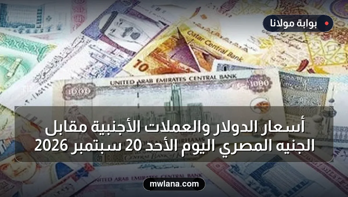 أسعار الدولار والعملات الأجنبية مقابل الجنيه المصري اليوم الأحد 20 سبتمبر 2026