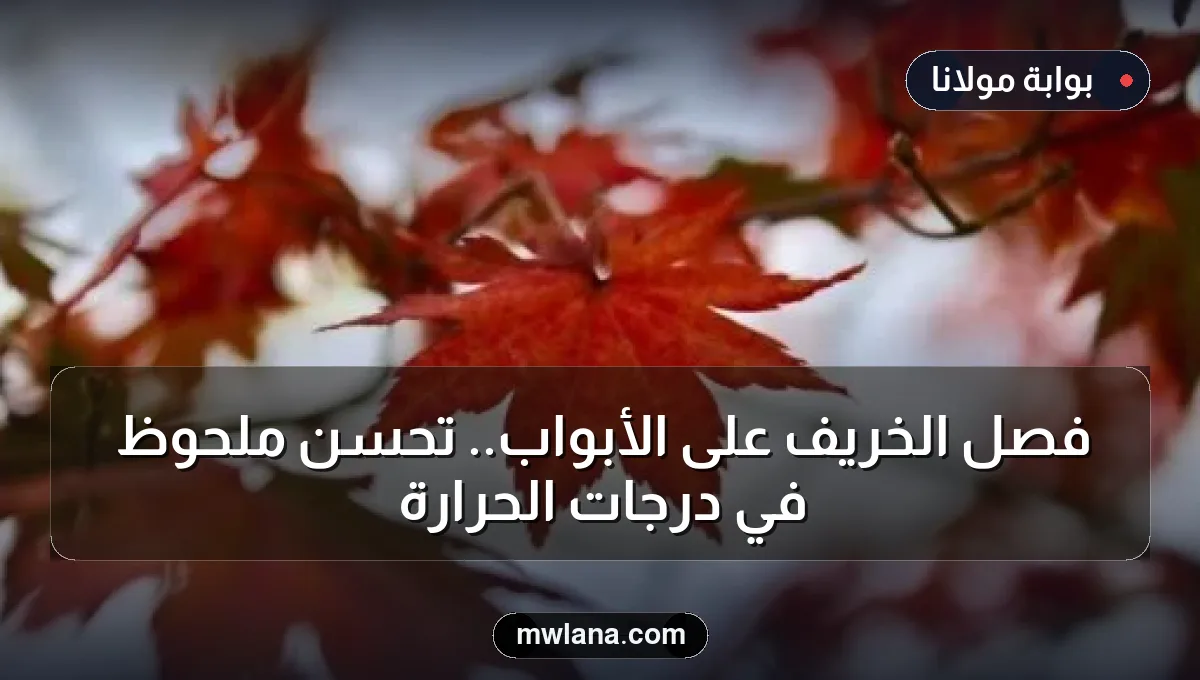 فصل الخريف على الأبواب.. تحسن ملحوظ في درجات الحرارة