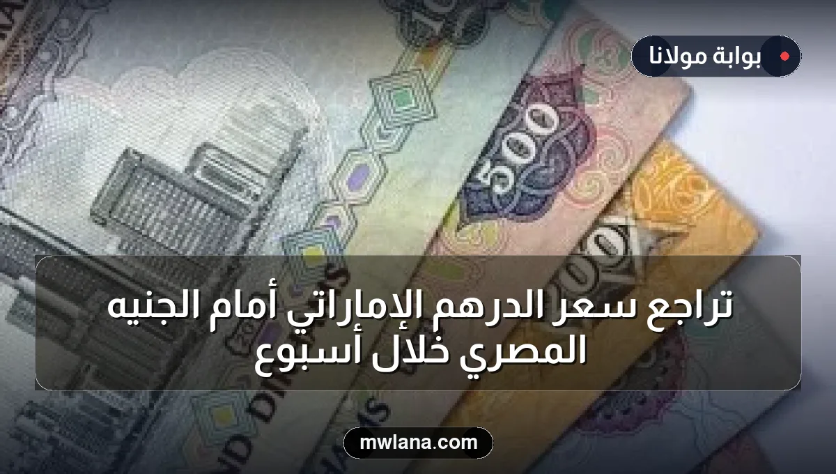 تراجع سعر الدرهم الإماراتي أمام الجنيه المصري خلال أسبوع
