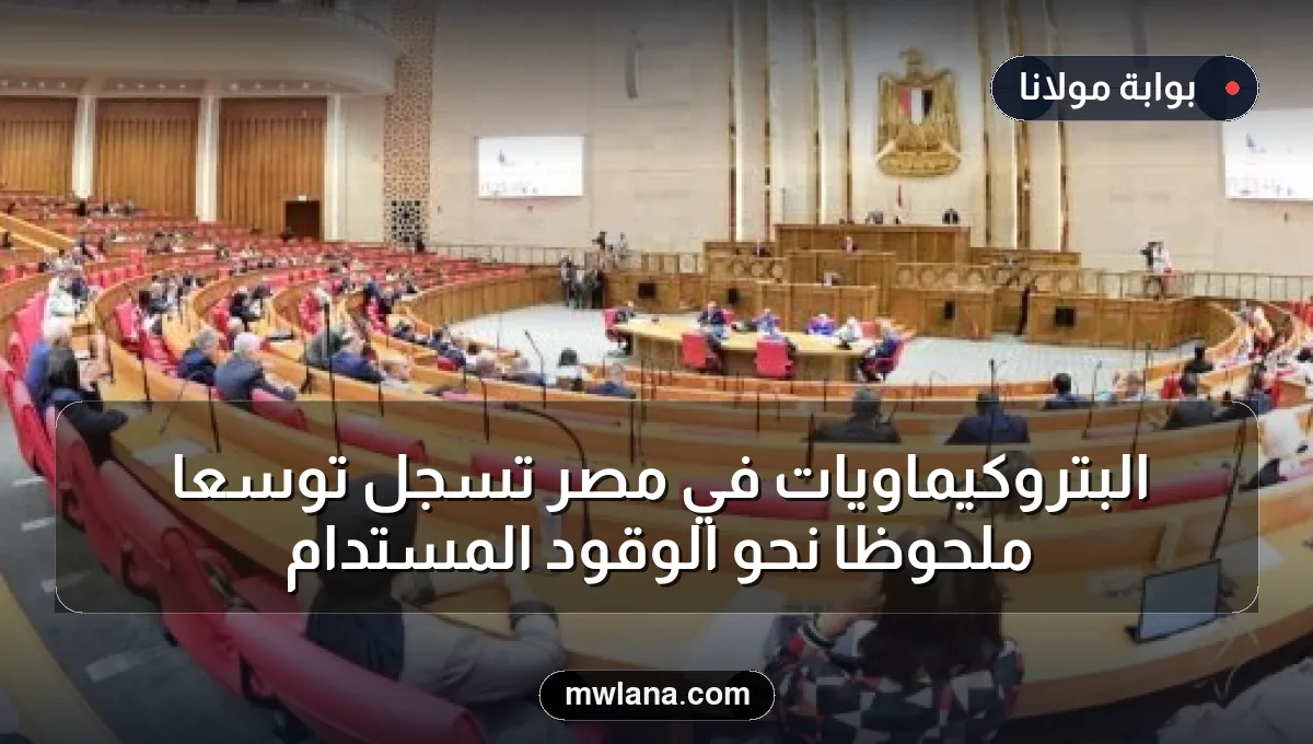 البتروكيماويات في مصر تسجل توسعًا ملحوظًا نحو الوقود المستدام