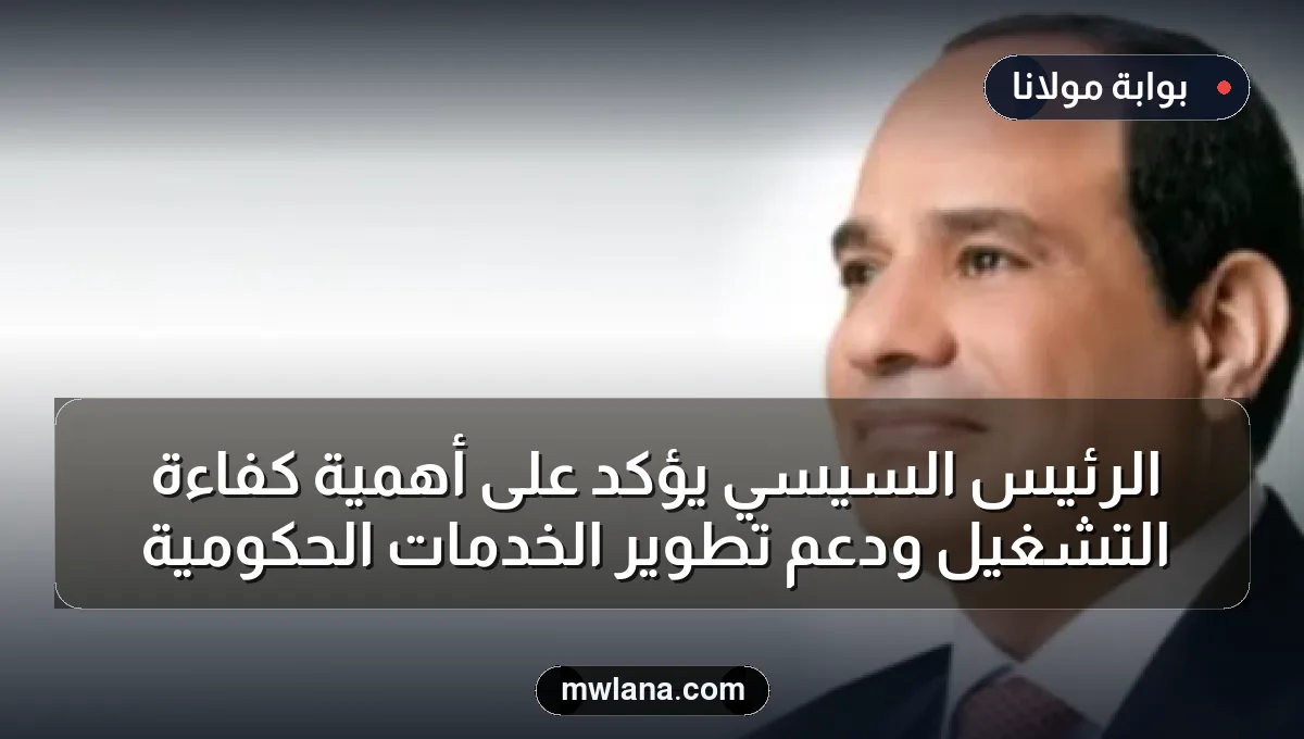 الرئيس السيسي يؤكد على أهمية كفاءة التشغيل ودعم تطوير الخدمات الحكومية