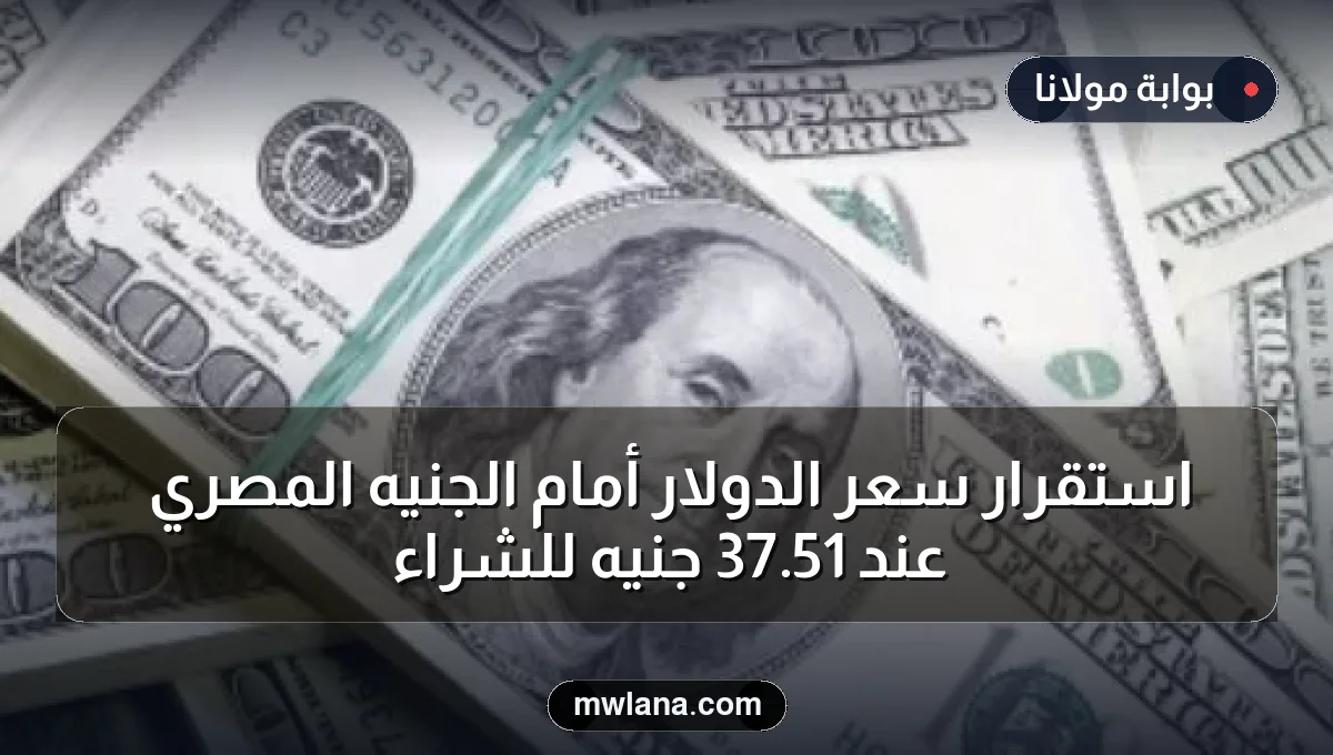 استقرار سعر الدولار أمام الجنيه المصري عند 51.37 جنيه للشراء