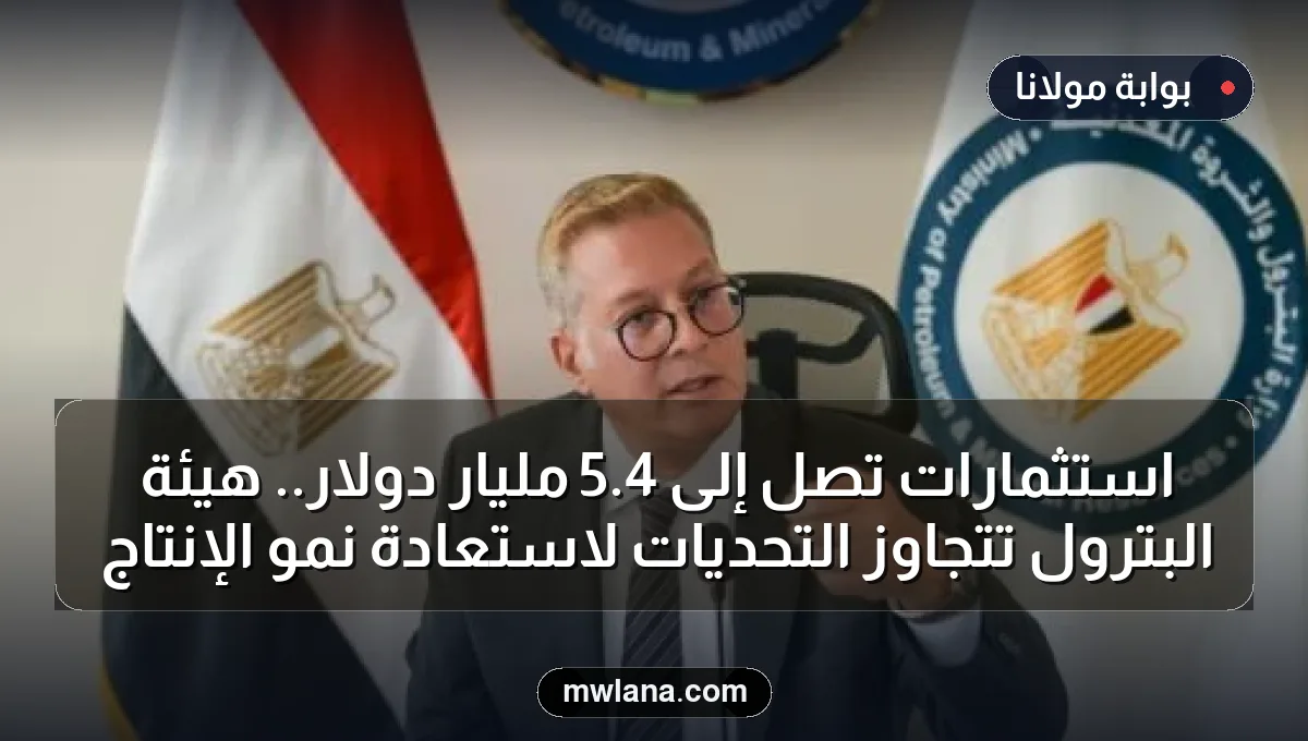 استثمارات تصل إلى 4.5 مليار دولار.. هيئة البترول تتجاوز التحديات لاستعادة نمو الإنتاج