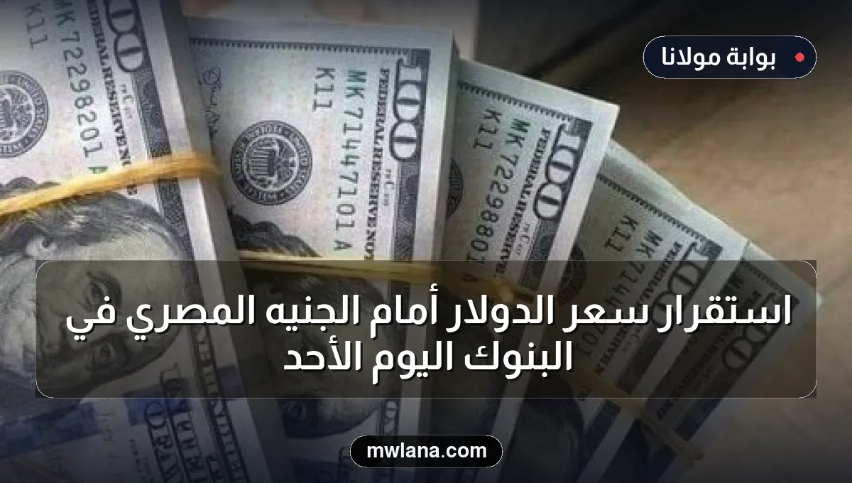 استقرار سعر الدولار أمام الجنيه المصري في البنوك اليوم الأحد