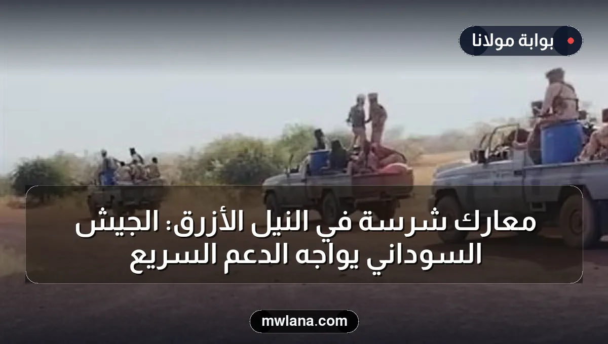 معارك شرسة في النيل الأزرق: الجيش السوداني يواجه الدعم السريع