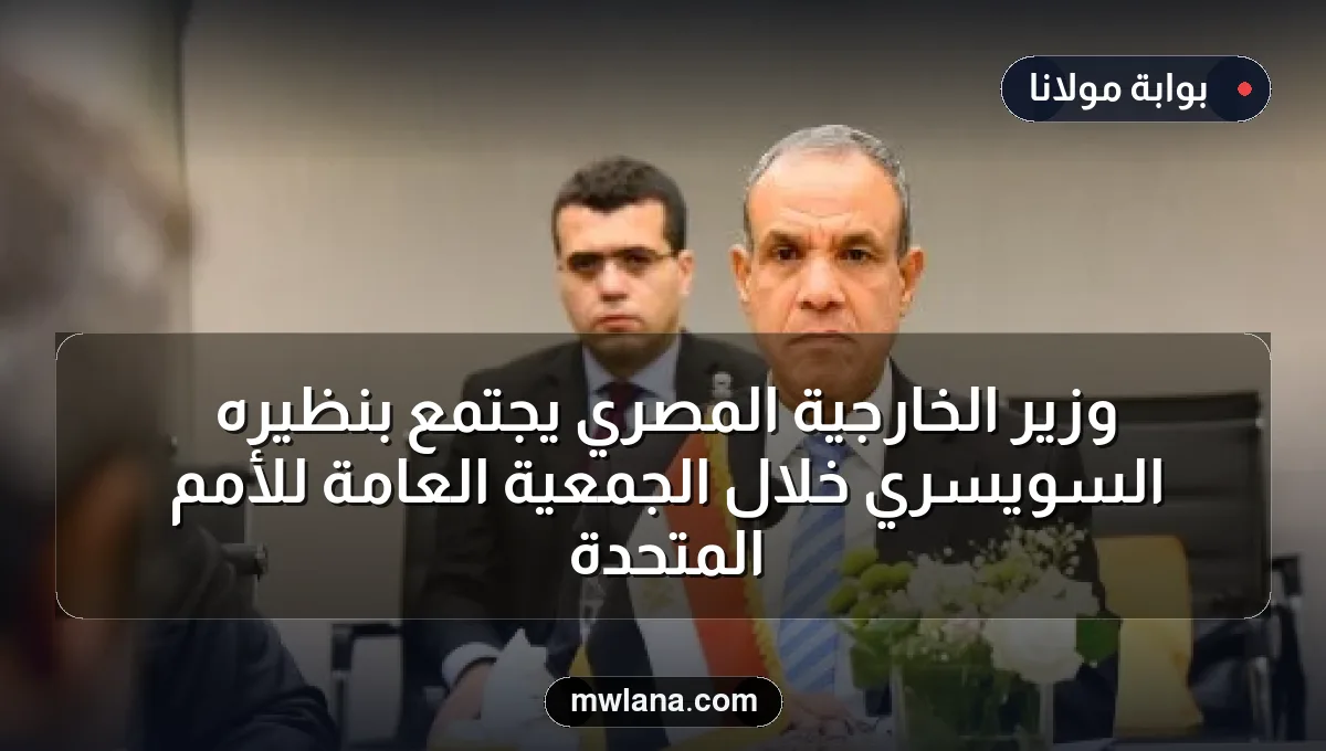 وزير الخارجية المصري يجتمع بنظيره السويسري خلال الجمعية العامة للأمم المتحدة