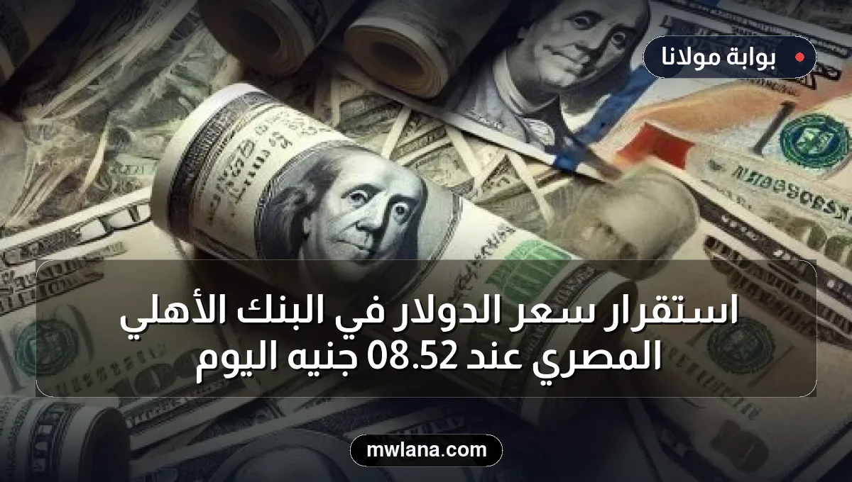 استقرار سعر الدولار في البنك الأهلي المصري عند 52.08 جنيه اليوم