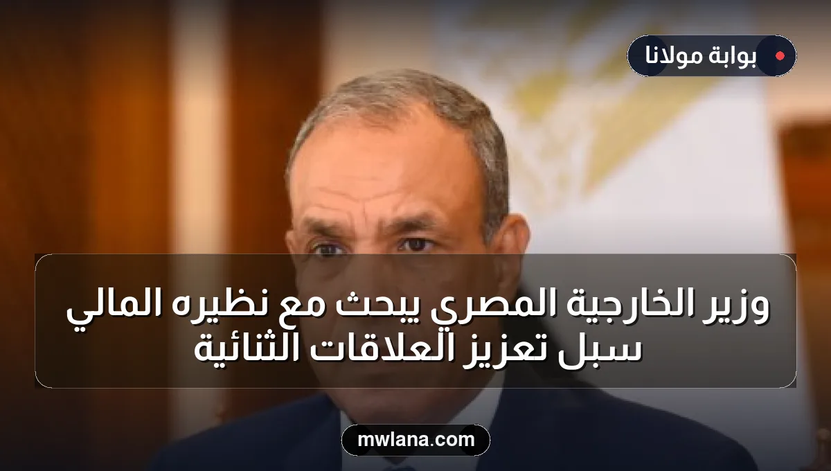 وزير الخارجية المصري يبحث مع نظيره المالي سبل تعزيز العلاقات الثنائية