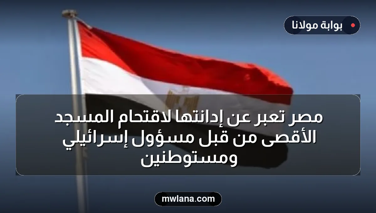 مصر تعبر عن إدانتها لاقتحام المسجد الأقصى من قبل مسؤول إسرائيلي ومستوطنين