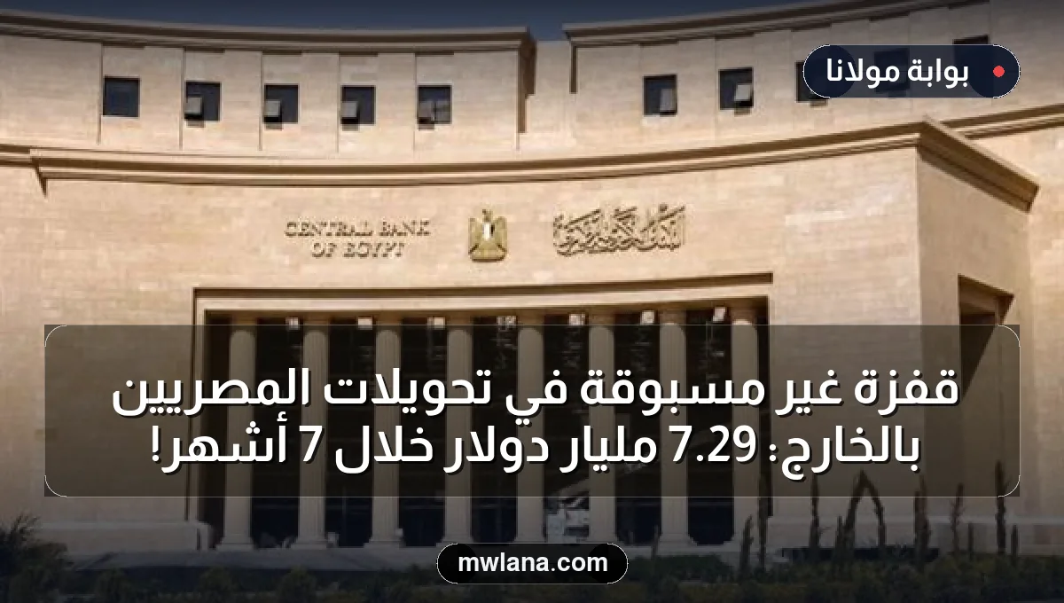 قفزة غير مسبوقة في تحويلات المصريين بالخارج: 29.7 مليار دولار خلال 7 أشهر!