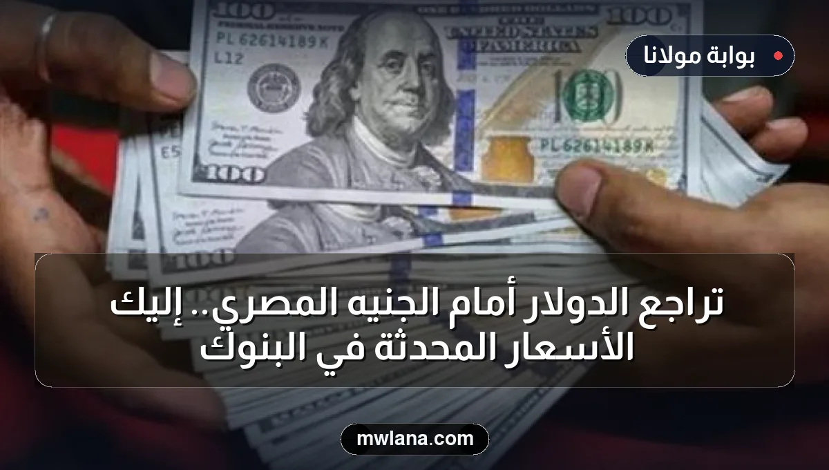 تراجع الدولار أمام الجنيه المصري.. إليك الأسعار المحدثة في البنوك