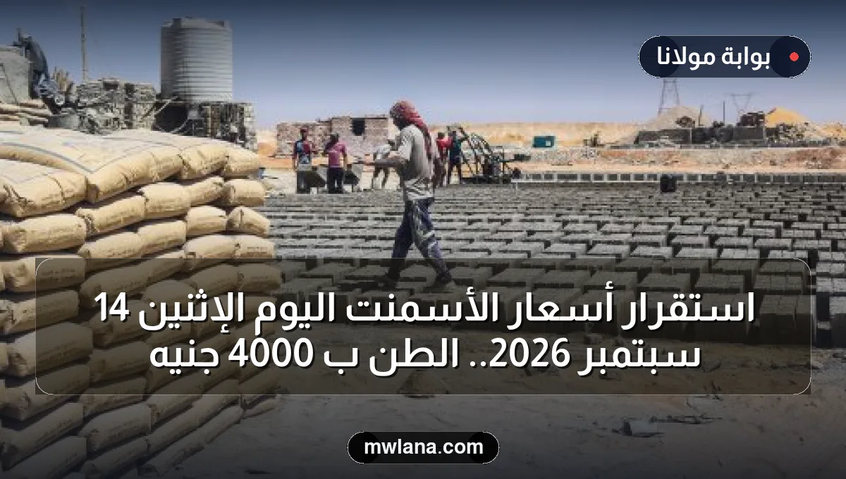 استقرار أسعار الأسمنت اليوم الإثنين 14 سبتمبر 2026.. الطن بـ 4000 جنيه
