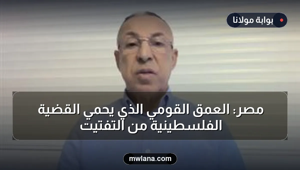 مصر: العمق القومي الذي يحمي القضية الفلسطينية من التفتيت