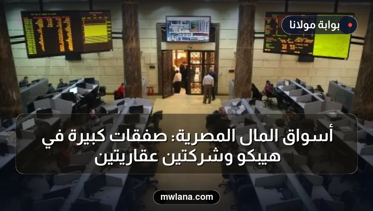 أسواق المال المصرية: صفقات كبيرة في هيبكو وشركتين عقاريتين