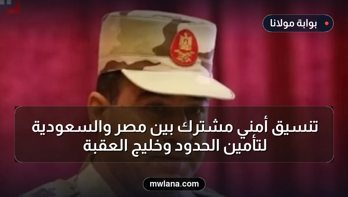 تنسيق أمني مشترك بين مصر والسعودية لتأمين الحدود وخليج العقبة
