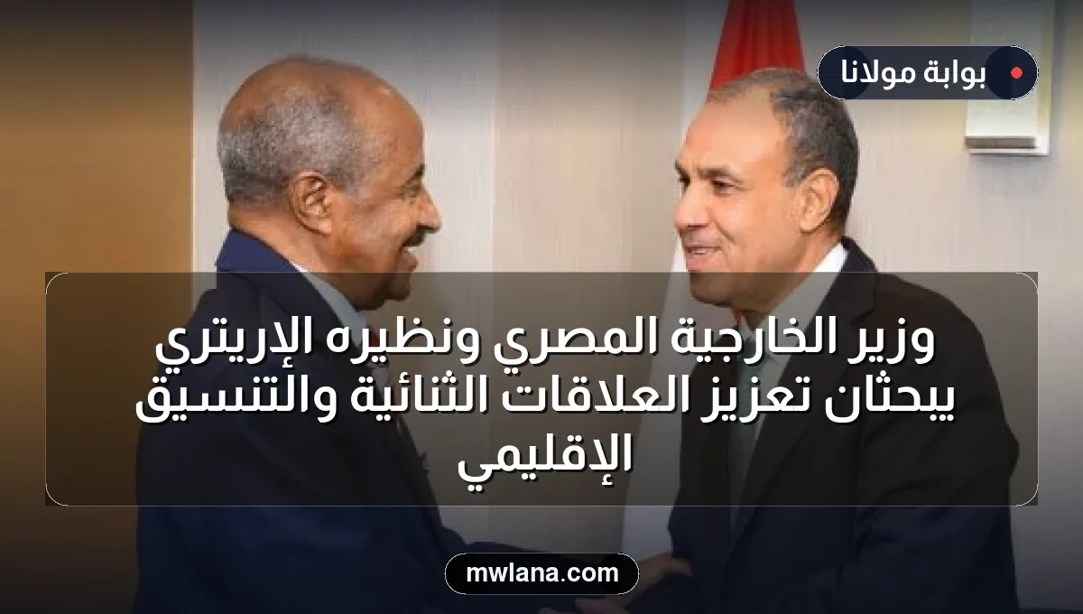 وزير الخارجية المصري ونظيره الإريتري يبحثان تعزيز العلاقات الثنائية والتنسيق الإقليمي