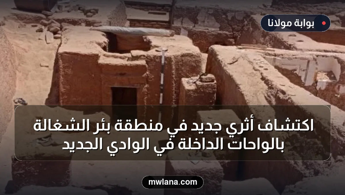 اكتشاف أثري جديد في منطقة بئر الشغالة بالواحات الداخلة في الوادي الجديد