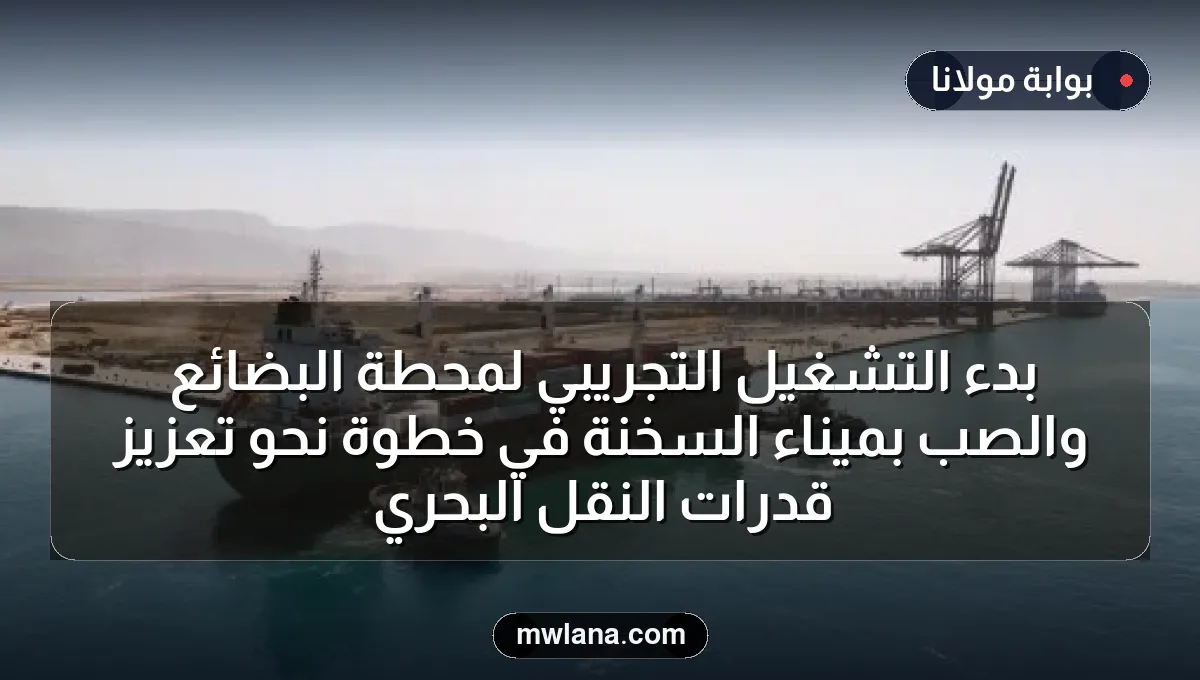 بدء التشغيل التجريبي لمحطة البضائع والصب بميناء السخنة في خطوة نحو تعزيز قدرات النقل البحري