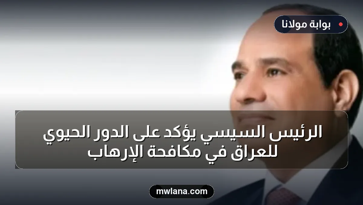 الرئيس السيسي يؤكد على الدور الحيوي للعراق في مكافحة الإرهاب