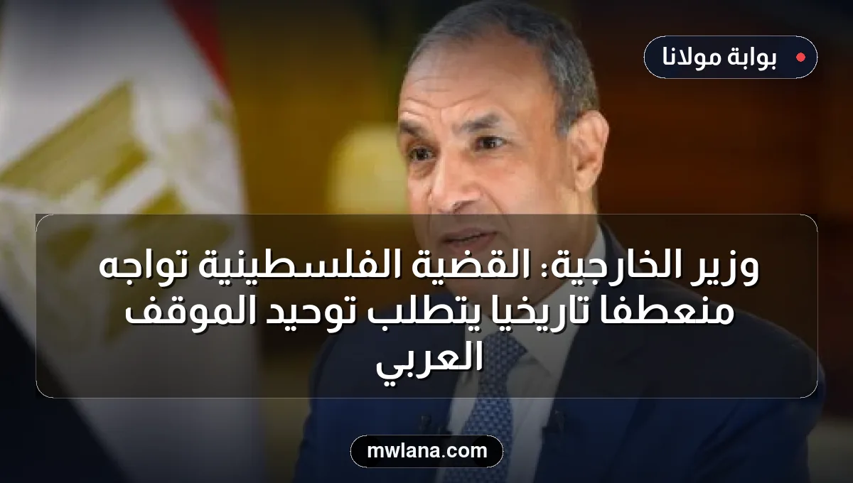 وزير الخارجية: القضية الفلسطينية تواجه منعطفًا تاريخيًا يتطلب توحيد الموقف العربي