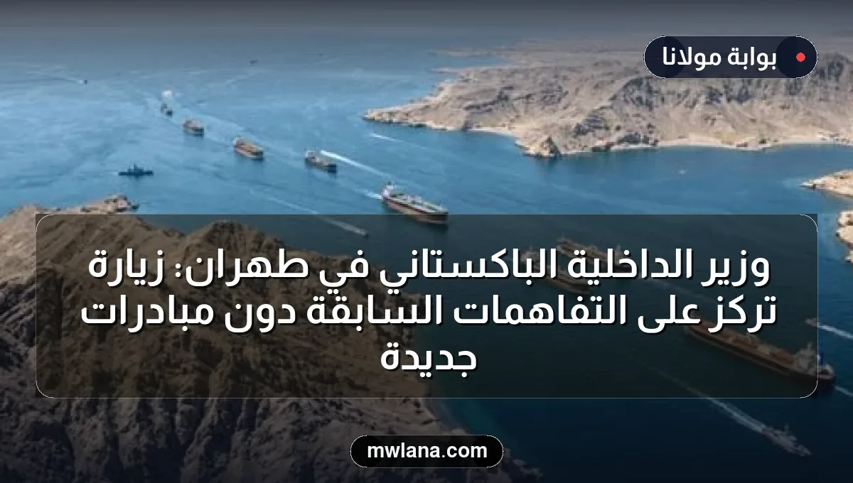 وزير الداخلية الباكستاني في طهران: زيارة تركز على التفاهمات السابقة دون مبادرات جديدة
