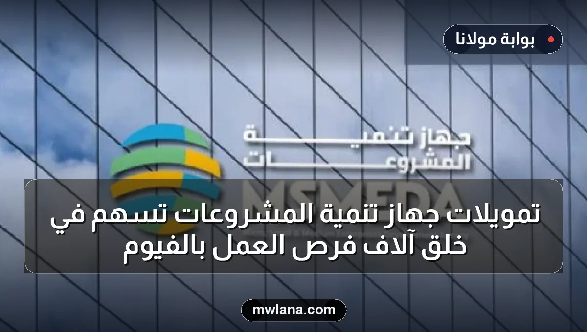 تمويلات جهاز تنمية المشروعات تسهم في خلق آلاف فرص العمل بالفيوم