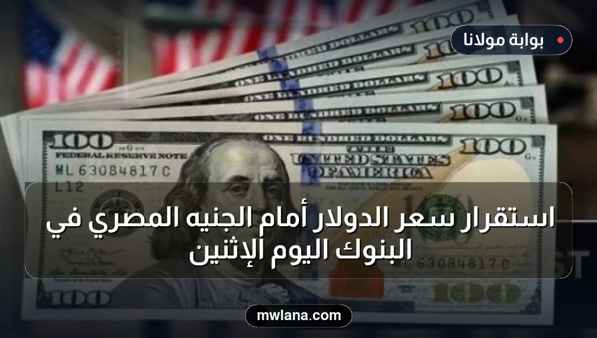 استقرار سعر الدولار أمام الجنيه المصري في البنوك اليوم الإثنين