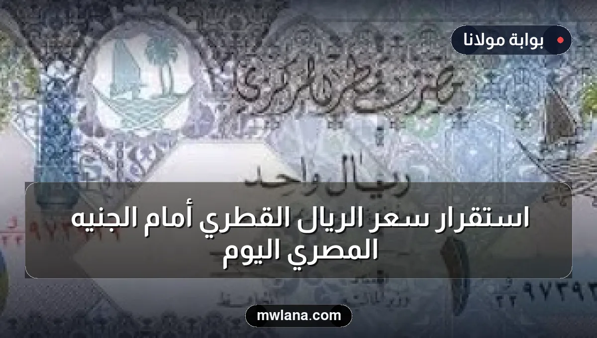 استقرار سعر الريال القطري أمام الجنيه المصري اليوم