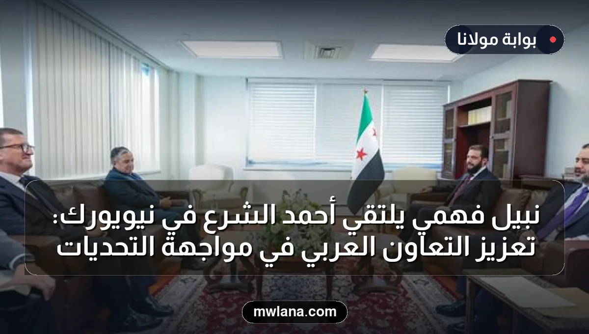 نبيل فهمي يلتقي أحمد الشرع في نيويورك: تعزيز التعاون العربي في مواجهة التحديات
