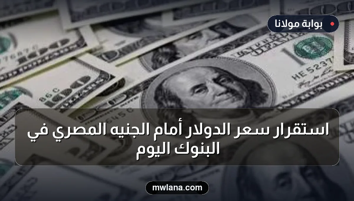 استقرار سعر الدولار أمام الجنيه المصري في البنوك اليوم