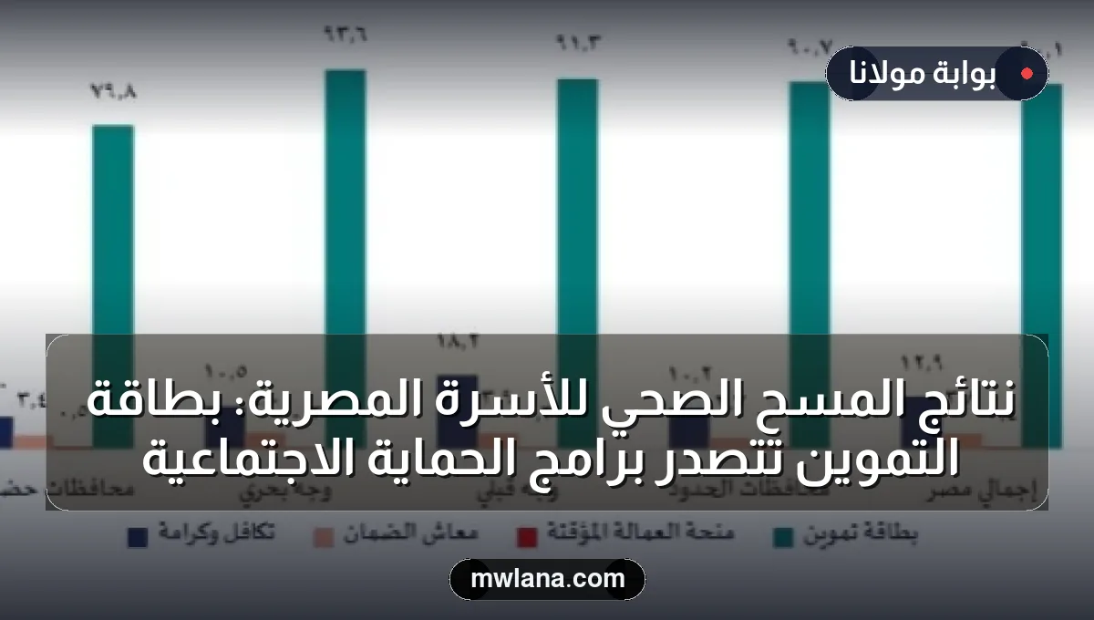 نتائج المسح الصحي للأسرة المصرية: بطاقة التموين تتصدر برامج الحماية الاجتماعية