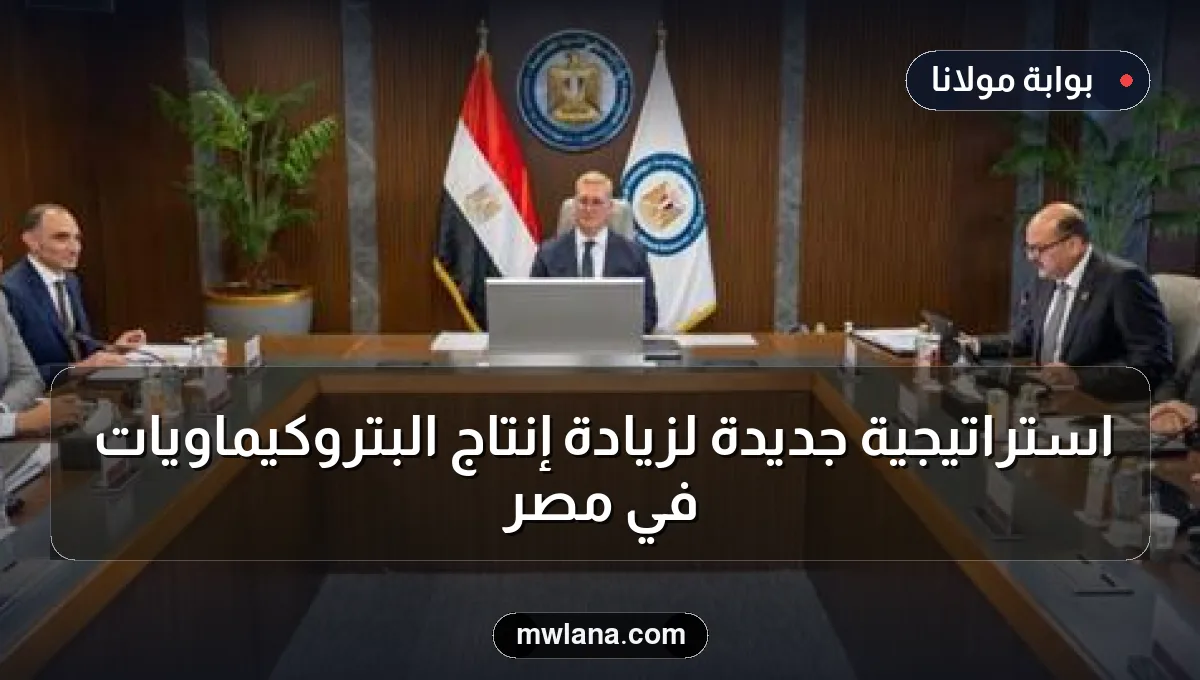 استراتيجية جديدة لزيادة إنتاج البتروكيماويات في مصر