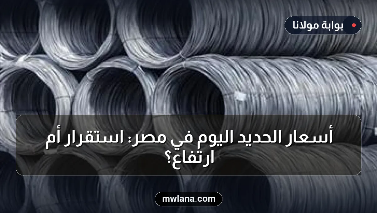 أسعار الحديد اليوم في مصر: استقرار أم ارتفاع؟