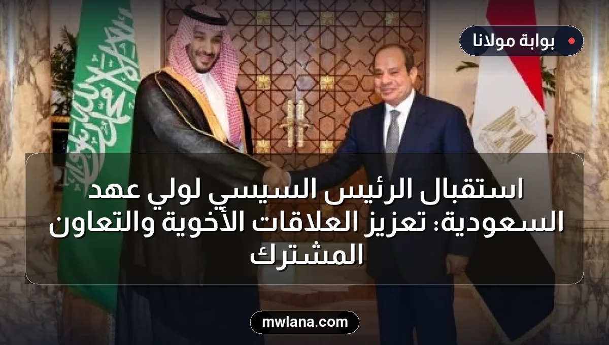 استقبال الرئيس السيسي لولي عهد السعودية: تعزيز العلاقات الأخوية والتعاون المشترك