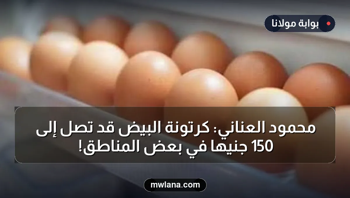 محمود العناني: كرتونة البيض قد تصل إلى 150 جنيهًا في بعض المناطق!