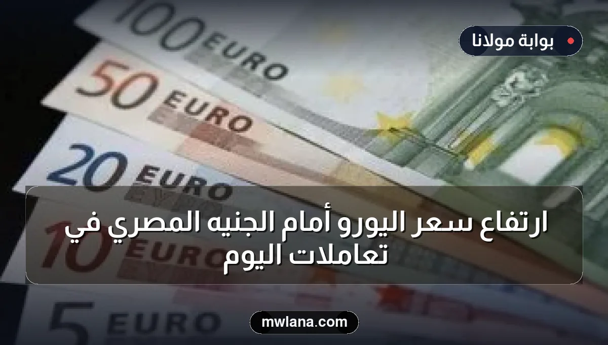 ارتفاع سعر اليورو أمام الجنيه المصري في تعاملات اليوم
