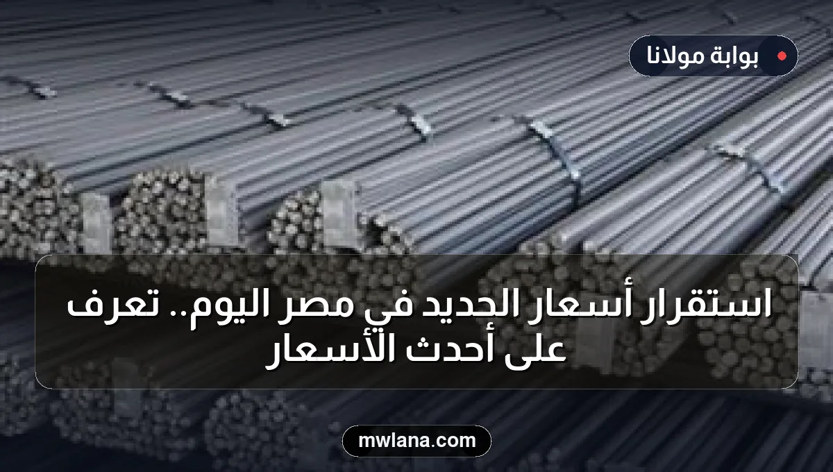 استقرار أسعار الحديد في مصر اليوم.. تعرف على أحدث الأسعار