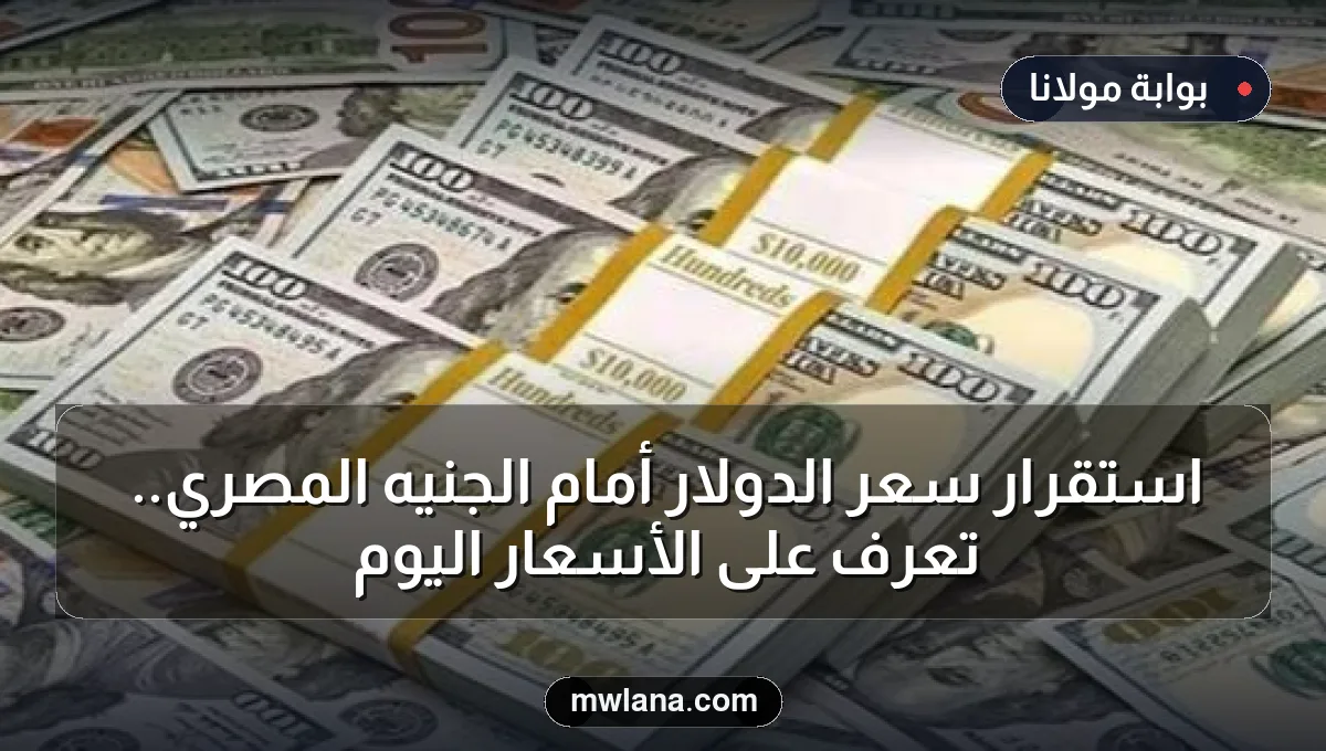 استقرار سعر الدولار أمام الجنيه المصري.. تعرف على الأسعار اليوم