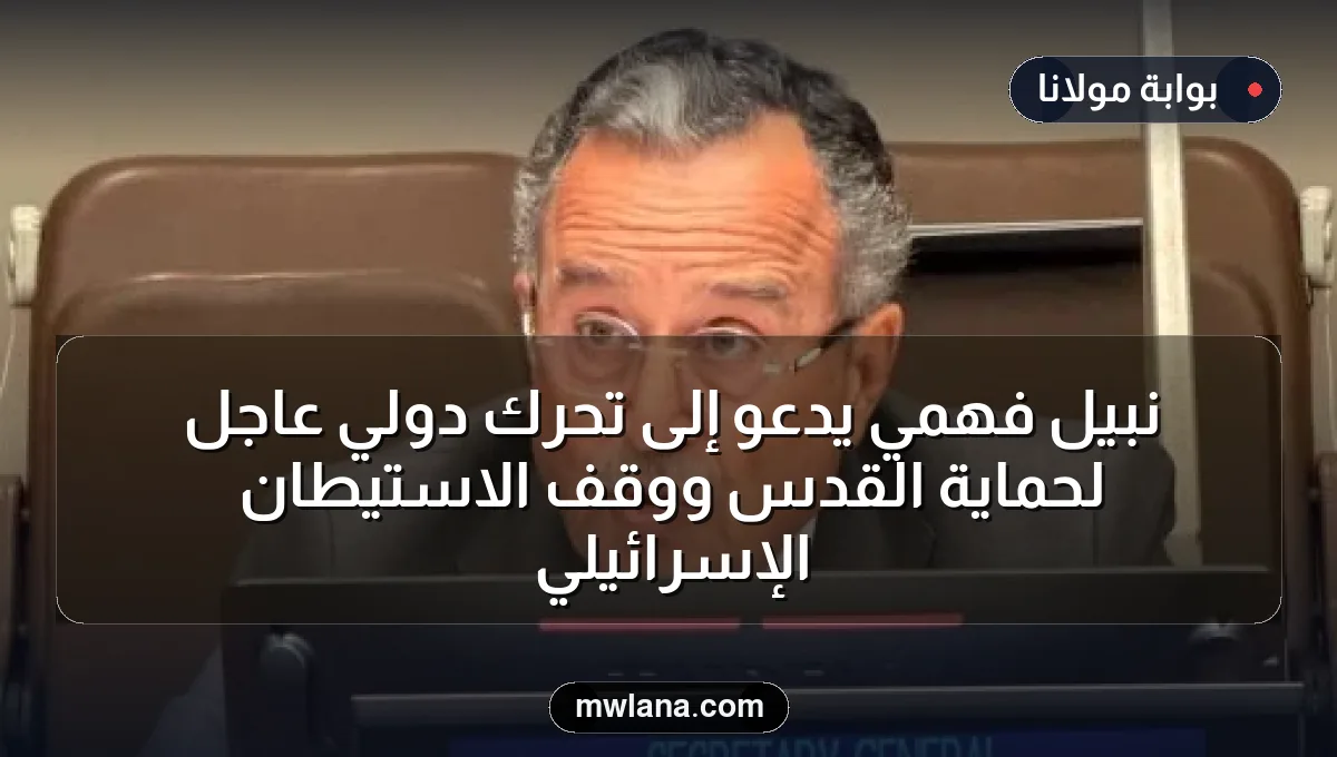 نبيل فهمي يدعو إلى تحرك دولي عاجل لحماية القدس ووقف الاستيطان الإسرائيلي