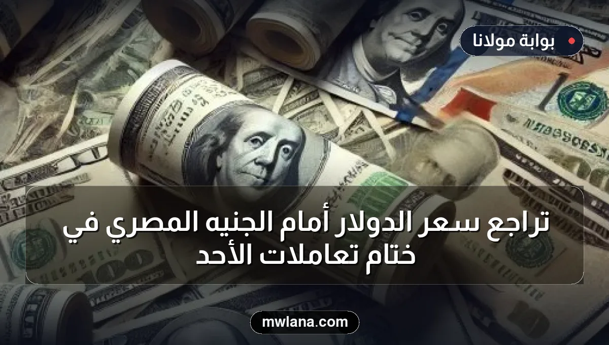 تراجع سعر الدولار أمام الجنيه المصري في ختام تعاملات الأحد