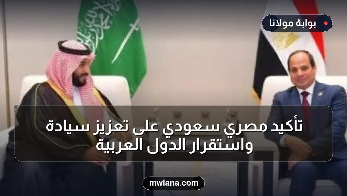 تأكيد مصري سعودي على تعزيز سيادة واستقرار الدول العربية