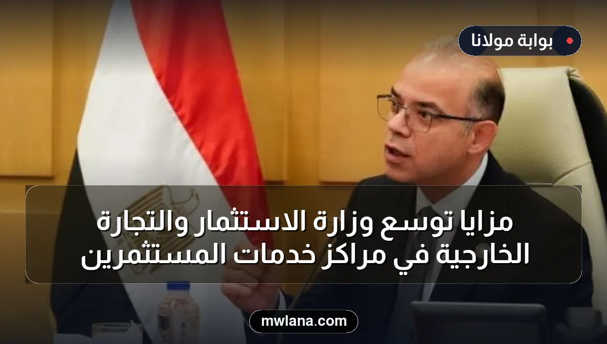 مزايا توسع وزارة الاستثمار والتجارة الخارجية في مراكز خدمات المستثمرين